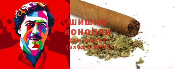 spice Алзамай