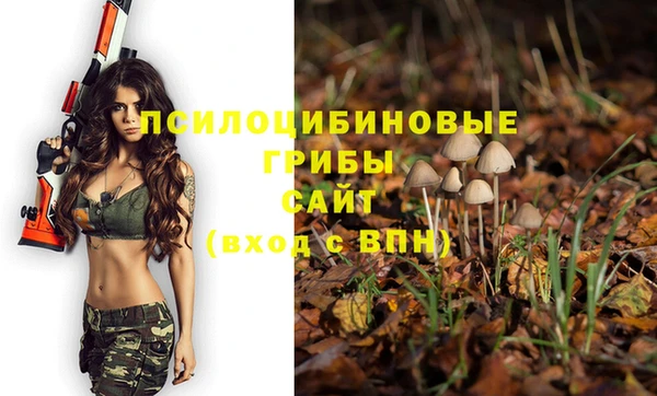 ПСИЛОЦИБИНОВЫЕ ГРИБЫ Алексеевка