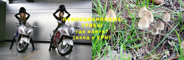 ПСИЛОЦИБИНОВЫЕ ГРИБЫ Алексеевка