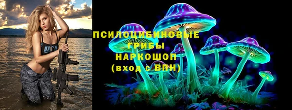 ГАЛЛЮЦИНОГЕННЫЕ ГРИБЫ Алексин